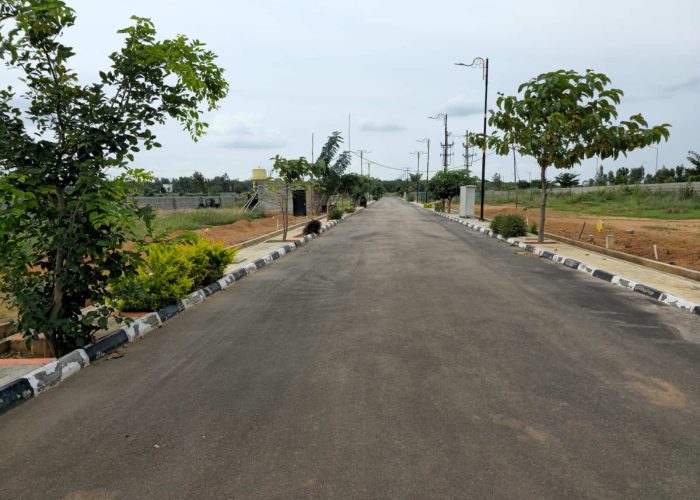 WhatsApp Image 2025-09-22 at 1.35.56 PM