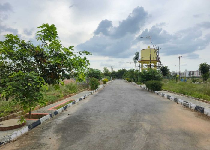 WhatsApp Image 2025-09-22 at 1.35.59 PM