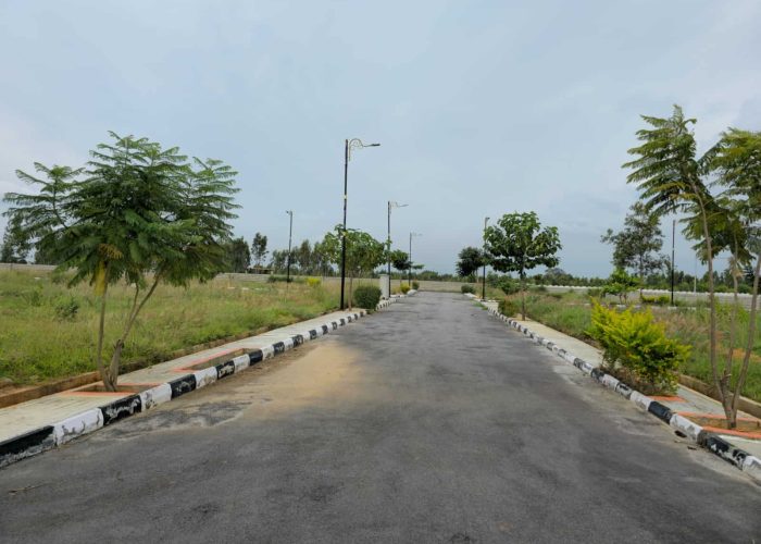 WhatsApp Image 2025-09-22 at 1.36.00 PM