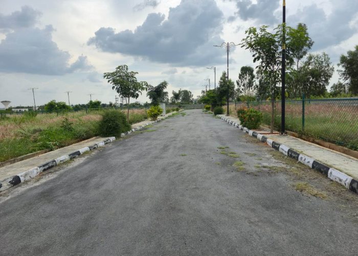 WhatsApp Image 2025-09-22 at 1.36.10 PM (1)