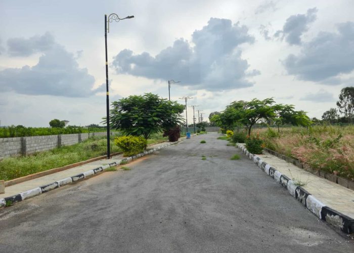 WhatsApp Image 2025-09-22 at 1.36.14 PM (1)