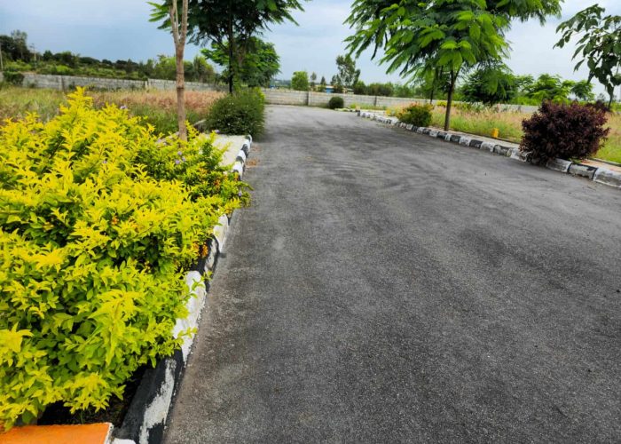 WhatsApp Image 2025-09-22 at 1.36.14 PM