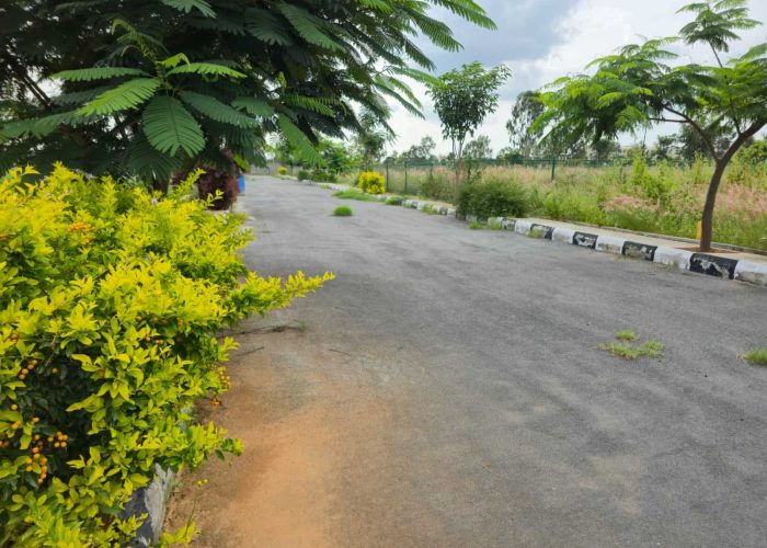 WhatsApp Image 2025-09-22 at 1.36.15 PM