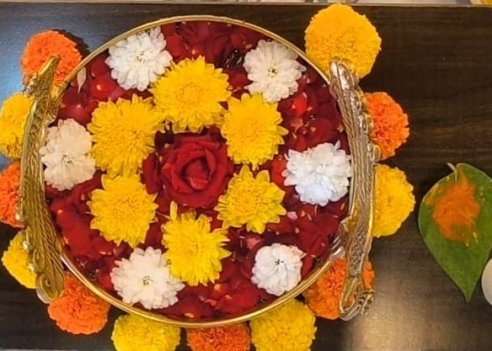 WhatsApp Image 2026-02-04 at 2.25.40 PM (1)